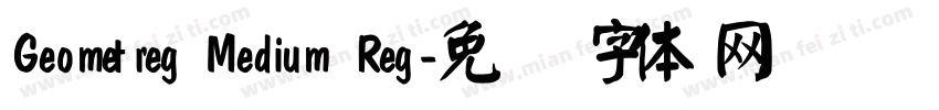 Geometreg Medium Reg字体转换
